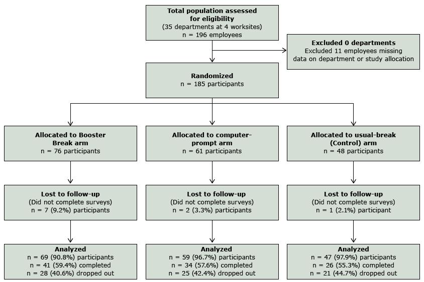  Stages of the Booster Break study for intent-to-treat analyses (all participants); 100% of participants were analyzed using intent-to-treat.
