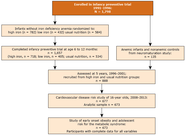 Flow of participants in study on relationship between early onset obesity and metabolic syndrome risk in adolescence, Santiago, Chile, 2009–2012. Participants were drawn from a larger study of infancy iron-deficiency anemia.