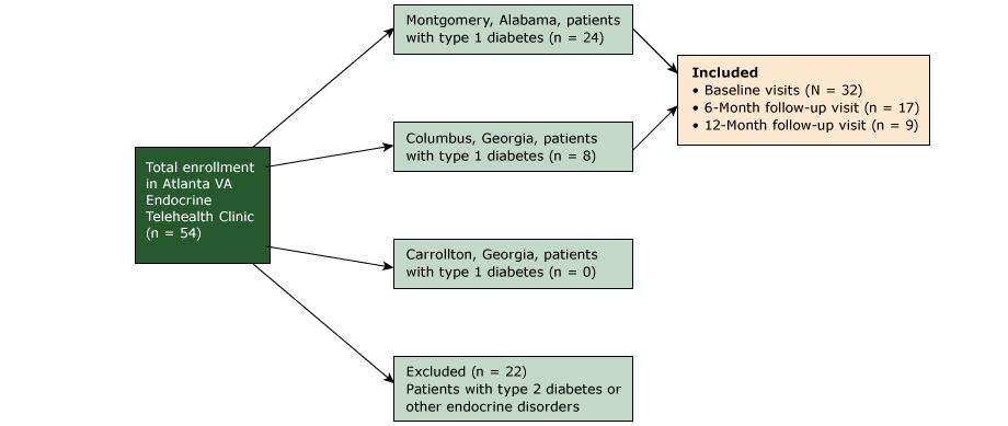 Diagram showing criteria for inclusion in a study of patients (N = 32) enrolled in the Atlanta VA Telehealth Endocrine Clinic, June 2014 to October 2016. Abbreviation: VAMC, Veterans Affairs Medical Center.