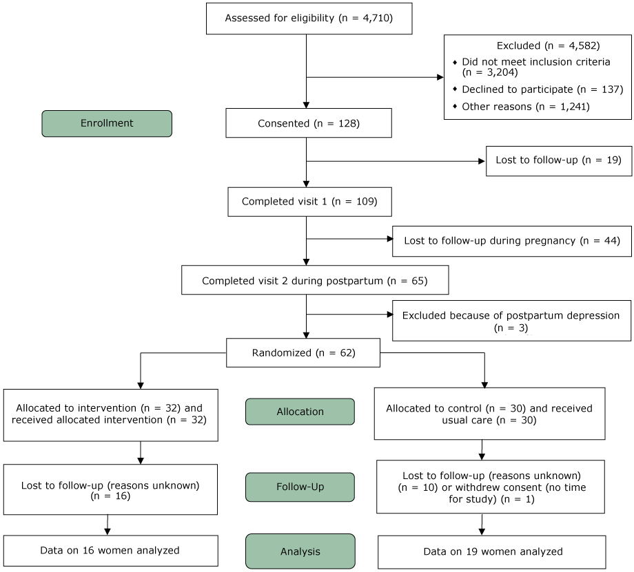 CONSORT diagram of the progress through the phases of a randomized controlled feasibility trial in behavioral weight management for underserved postpartum African American women, Boston, Massachusetts, 2011–2013.