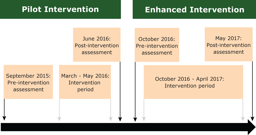 Study timeline of the pilot intervention and enhanced intervention, Preschool Nutrition and Activity Study, Cuenca, Ecuador, 2015 – 2017