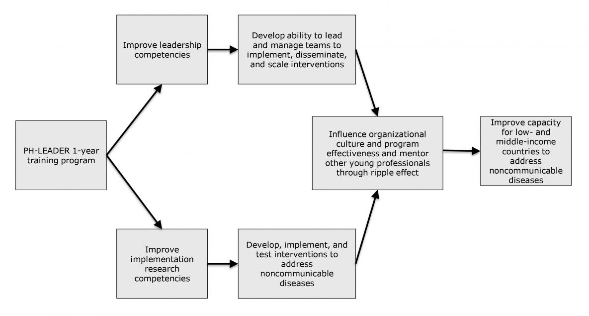 Public Health Leadership and Implementation Academy program model. 