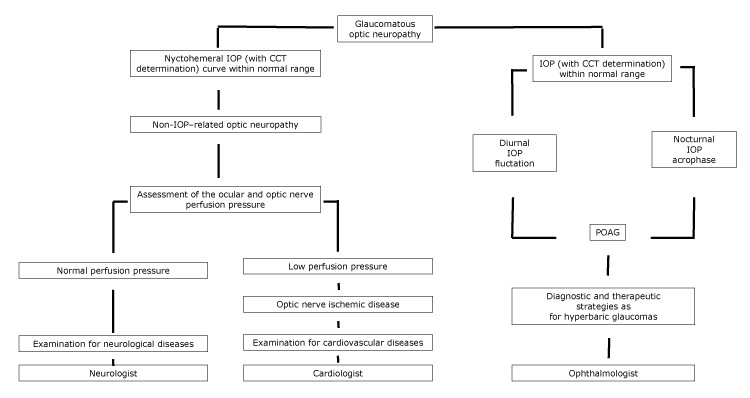 Proposed flowchart of optic neuropathy, with specialist referral, according to the nychthemeral IOP characteristics. Abbreviations: CCT, central corneal thickness; IOP, intraocular pressure; POAG, primary open-angle glaucoma.