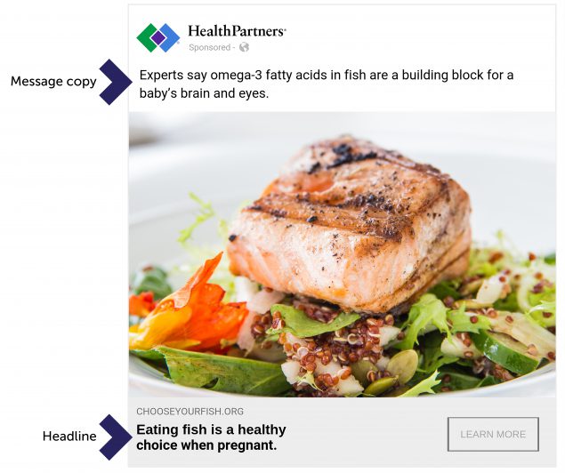Example Facebook advertisement used in the message testing campaign. The “expert” source ad shown here was most engaging for the audience of pregnant women.