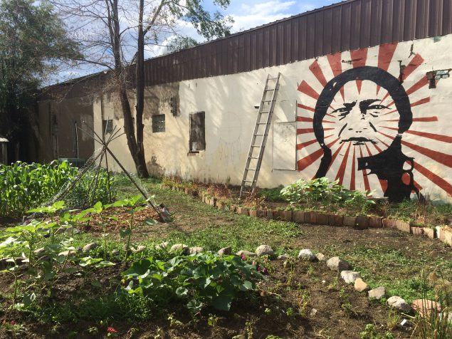 The Standing Rock Boys and Girls Club started with a simple grow station and then transitioned their garden outdoors to create the Wakanyeja “Beginning of Life” garden where all are welcome. 