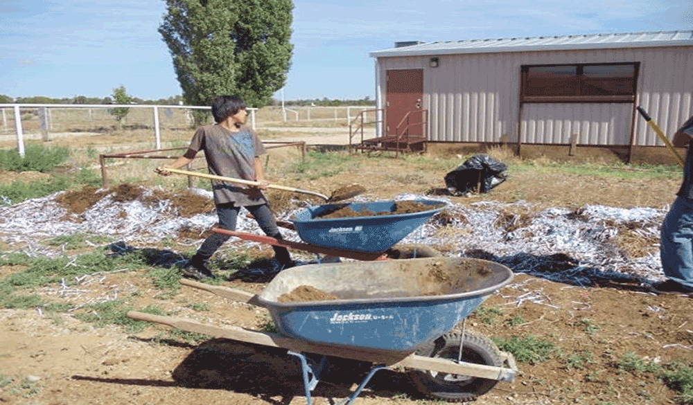 The compost pile was created to increase produce yield in the community garden, Traditional Foods Project, October 2009–September 2014. Compost materials included paper and coffee grounds provided by tribal leaders, Ramah Navajo, 2011. Photo courtesy of Randy Chatto