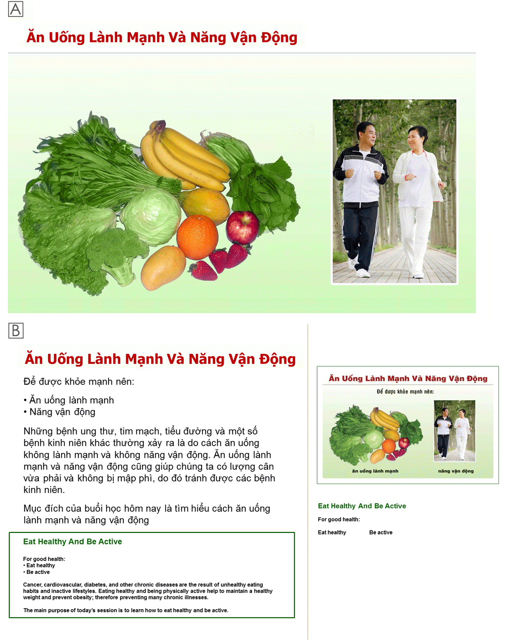 Culturally and linguistically appropriate educational materials developed for delivery by lay health workers to Vietnamese Americans aged 50 to 74 in an intervention designed to increase healthy eating and physical activity, Santa Clara County, California, 2008–2013. A, Participant-facing page of a flip chart. B, Lay health worker–facing page.