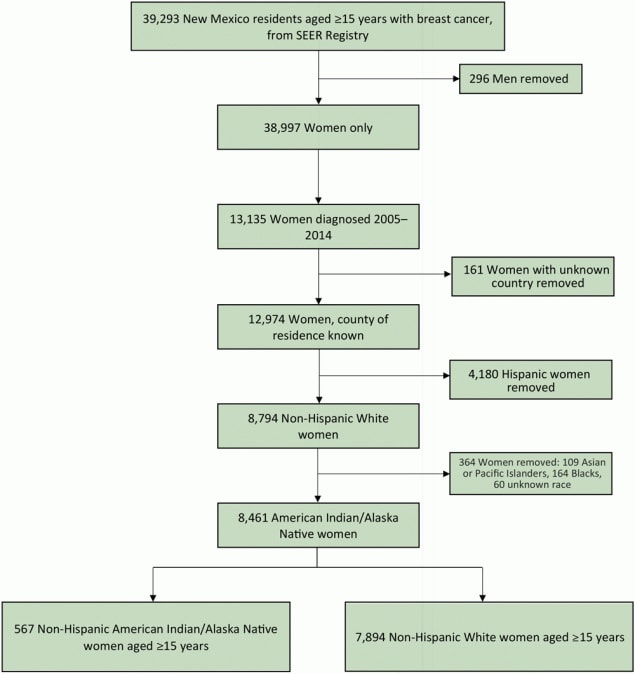 Data flow diagram describing the selection of New Mexico women with breast cancer for inclusion in a study of potential inequities in breast cancer incidence among non-Hispanic American Indian/Alaska Native and non-Hispanic White women. Abbreviation: SEER, Surveillance, Epidemiology, and End Results program.