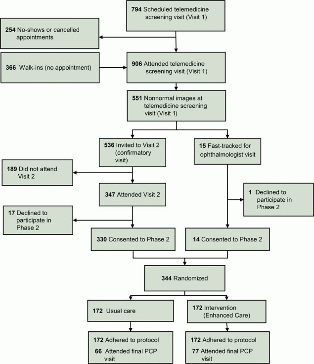 Flow chart describing the Philadelphia Telemedicine Glaucoma Detection and Follow-up Study, indicating participant inclusion, exclusion, and randomization to the usual care group or enhanced intervention group.