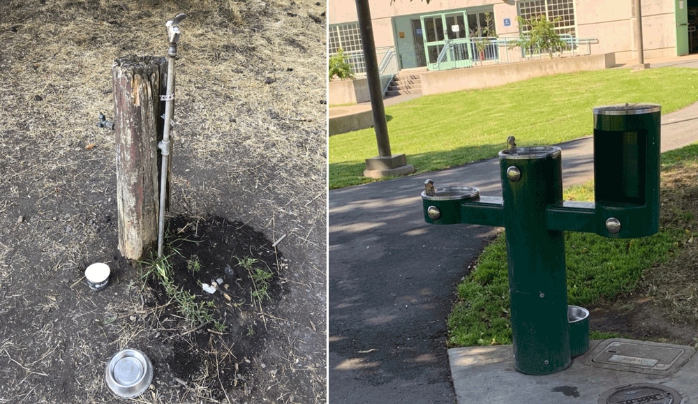 Drinking fountain in a comparison park (left) and Drink Tap water station in an intervention park (right). The Drink Tap water stations were installed in winter 2017