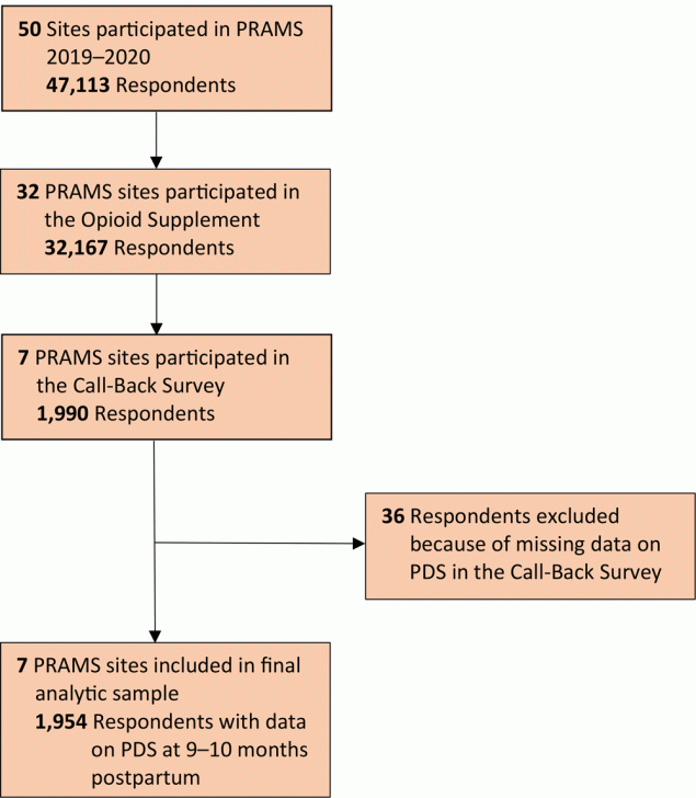 23_0107_01 Flow diagram showing how the final analytic sample for the PRAMS Call-Back Survey was derived. Abbreviations: PDS, postpartum depressive symptoms; PRAMS, Pregnancy Risk Assessment Monitoring System.