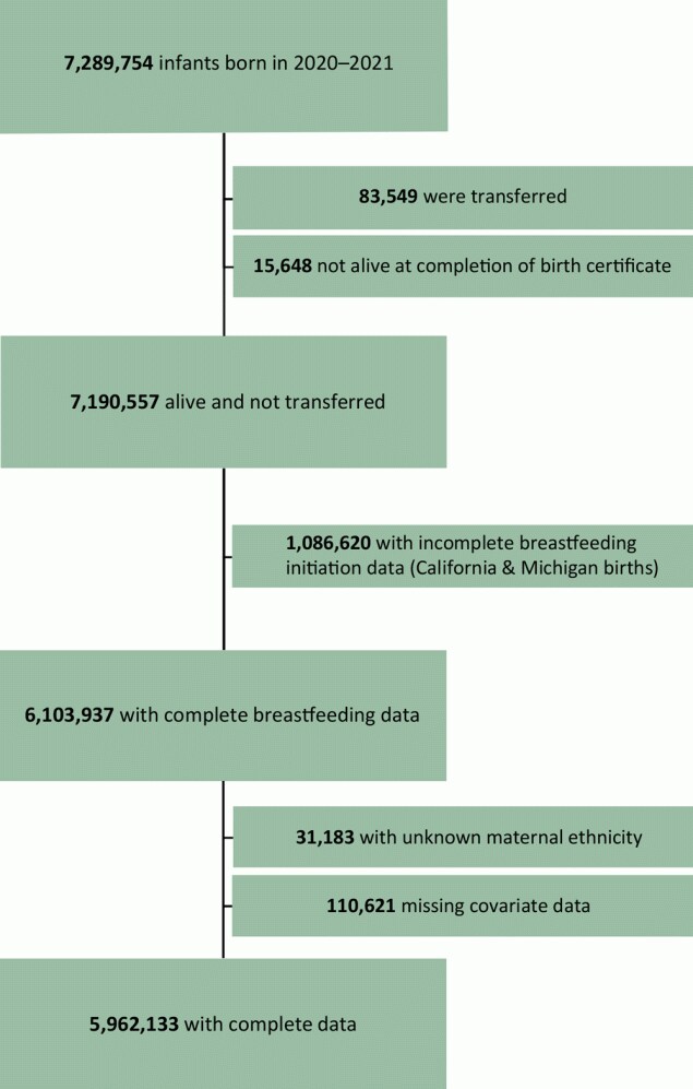 Flow of participants in an analysis of disaggregated breastfeeding initiation rates by race and ethnicity, United States, 2020–2021, using National Vital Statistics System birth certificate data from 2020–2021 US births. Source: National Vital Statistics System (19).