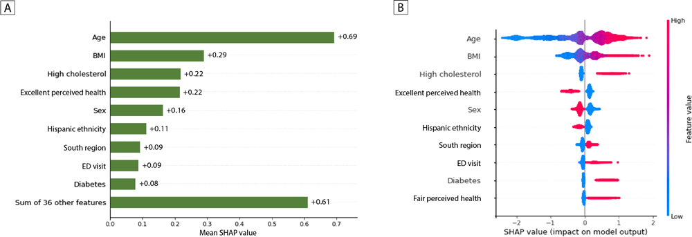 Interpretable Machine Learning for Predicting Early Onset Hypertension in the US