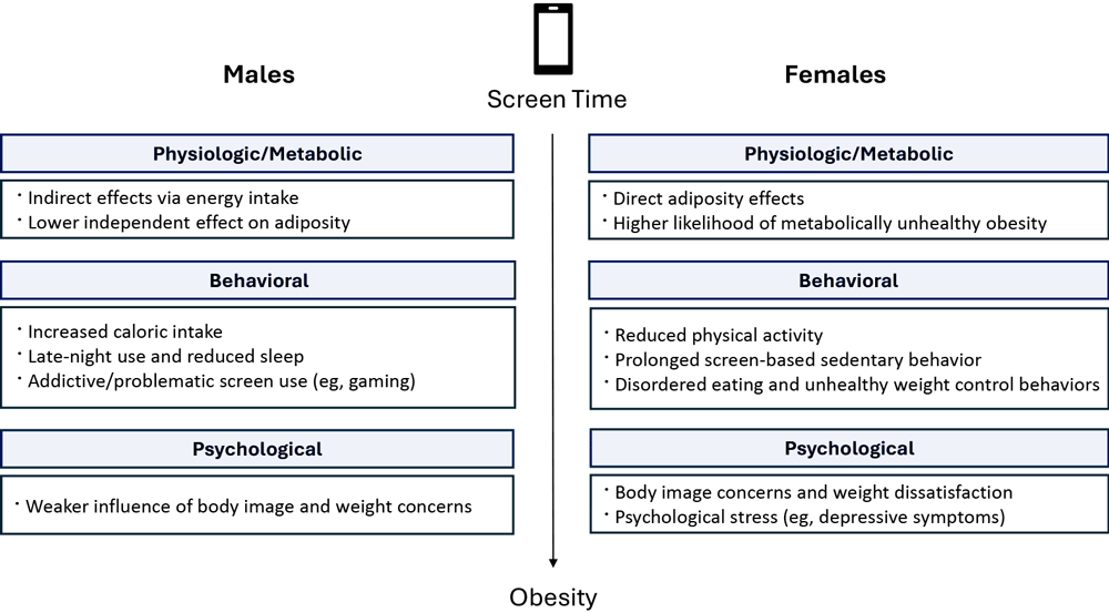 A Systematic Review of Screen Time and Obesity in Children, Adolescents, and Young Adults: Sex-Specific Pathways and Implications for Public Health Interventions