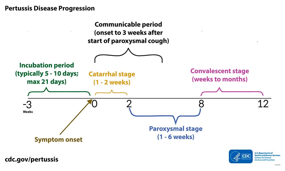 The timeline shows the typical clinical course of pertussis in weeks.