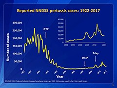 This graph illustrates the number of pertussis cases reported to CDC from 1922 to 2015. Following the introduction of pertussis vaccines in the 1940s when case counts frequently exceeded 100,000 cases per year, reports declined dramatically to fewer than 10,000 by 1965. During the 1980s pertussis reports began increasing gradually, and by 2015 more than 20,000 cases were reported nationwide