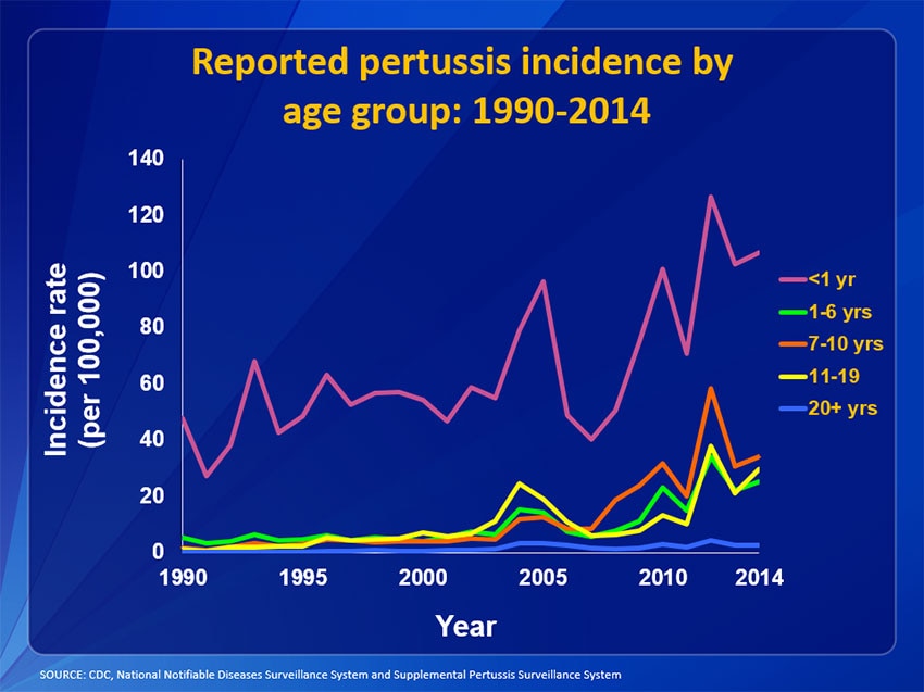 Pertussis  Surveillance Trend Reporting and Case Definition  CDC