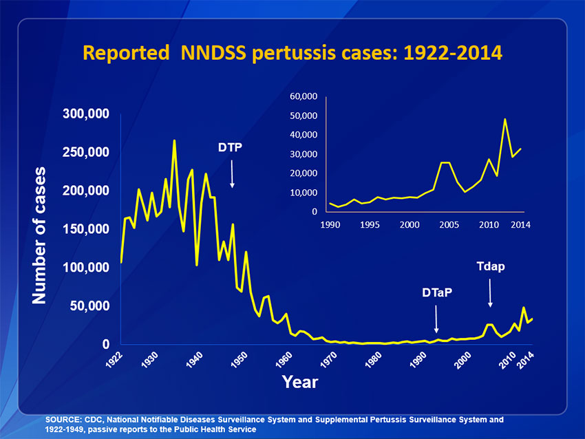 Pertussis  Surveillance Trend Reporting and Case Definition  CDC