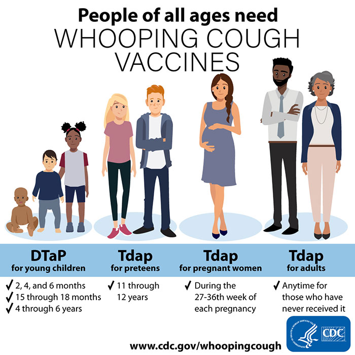 Graphic depicting young children, preteens, pregnant women, and adults, all of which need whooping cough vaccines.
