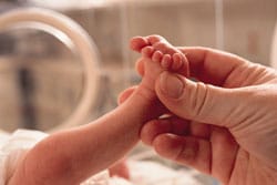 Small premature baby lies in an incubator a grown hand reaches in grasping the foot in caring manner