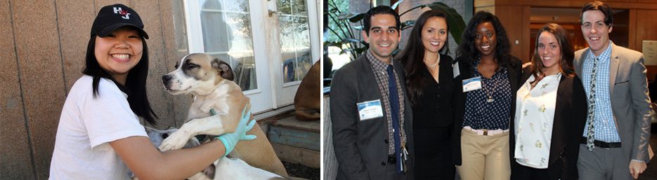Two side-by-side photographs. The picture on the left shows a smiling young female wearing disposable gloves greeting two dogs. The picture on the right shows 5 people in business dress posing to be photographed.
