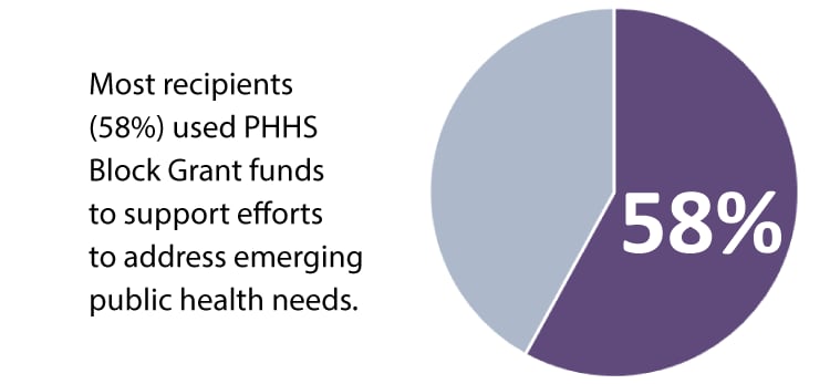 Most recipients (58%) used PHHS Block Grant funds to support efforts to address emerging public health needs.