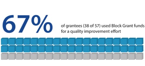 67% of grantees (38 of 57) used Block Grant funds for a quality improvement effort.