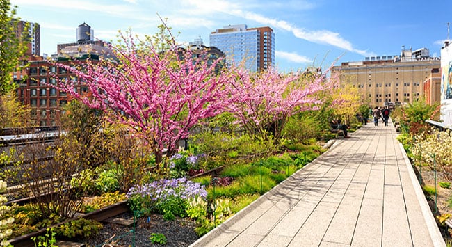 Photo: Picture of spring at the High Line in New York City