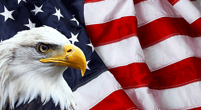 Photo: Bald Eagle with american flag in the background