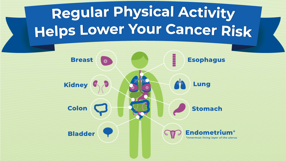 Regular physical activity helps lower your risk of 8 cancers shown here; refer to the bulleted list on this page.