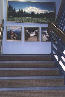 photo of stairwell after improvements