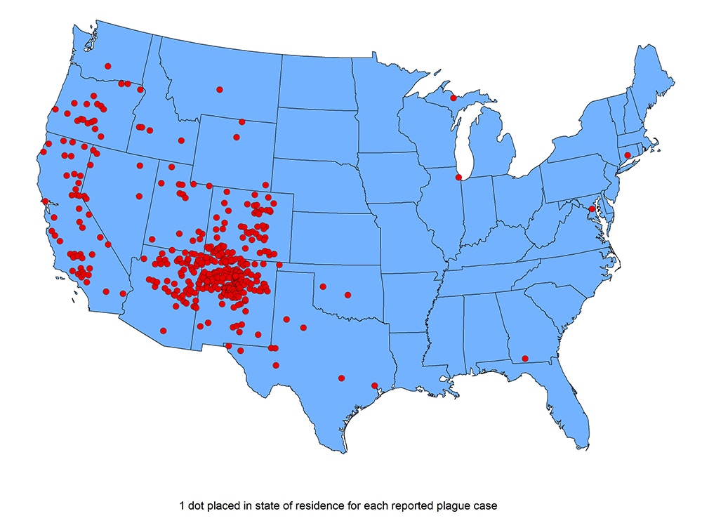 Human plague cases in the US, 1970-2020. All cases of human plague occur in the western US, with most cases in northern New Mexico and Arizona.