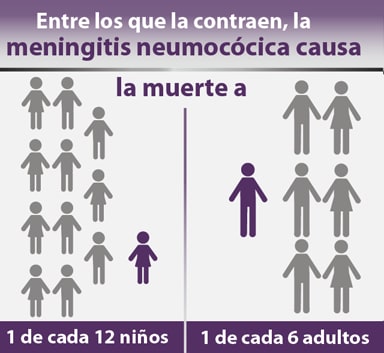 Entre los que la contraen, la meningitis neumocócica causa la muerte a 1 en 12 niños, 1 en 6 adultos.