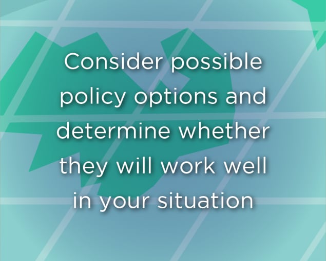 consider possible policy options and determine whether they will work well in your situation