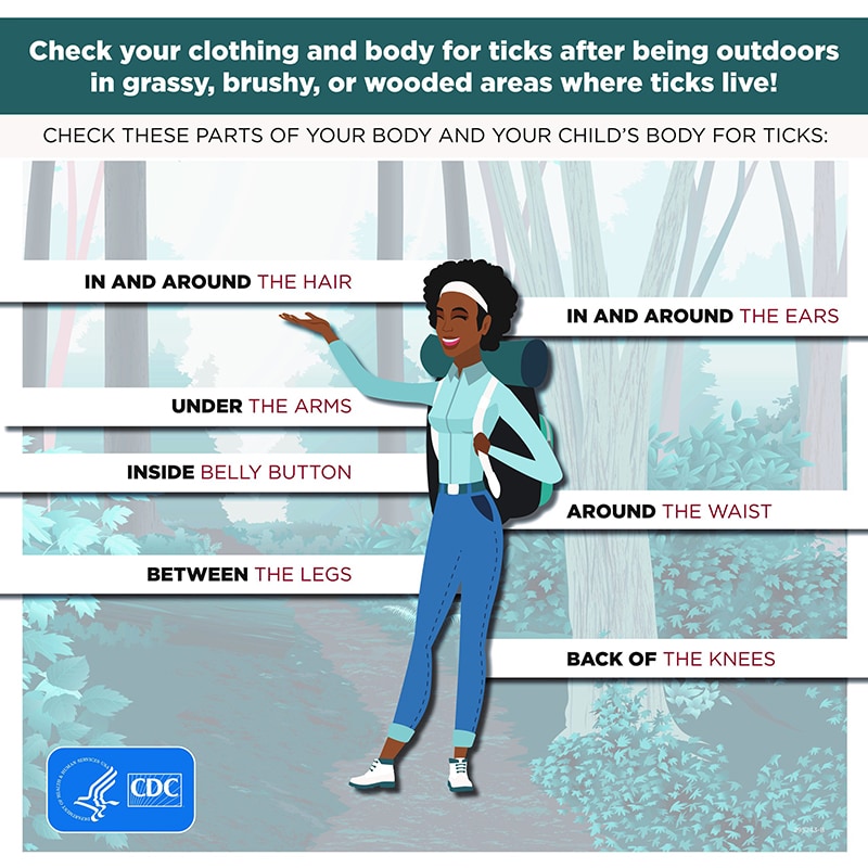 Clipart image of a woman backpacking in the woods showing places to check for ticks.