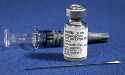 Components of a smallpox vaccination kit including the diluent, a vial of Dryvax® smallpox vaccine, and a bifurcated needle.