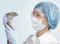 Image of a vet examing a rat with protective equipment on. 