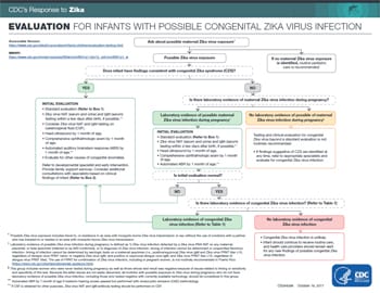 Use these tools to guide evaluation and testing of infants with possible congenital Zika virus infection.