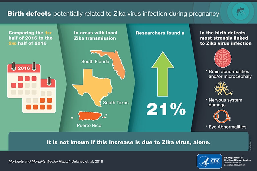 Graphic-Birth defects potentially related to Zika Virus infection during pregnancy