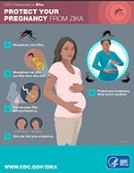 PROTECT YOUR PREGNANCY FROM ZIKA