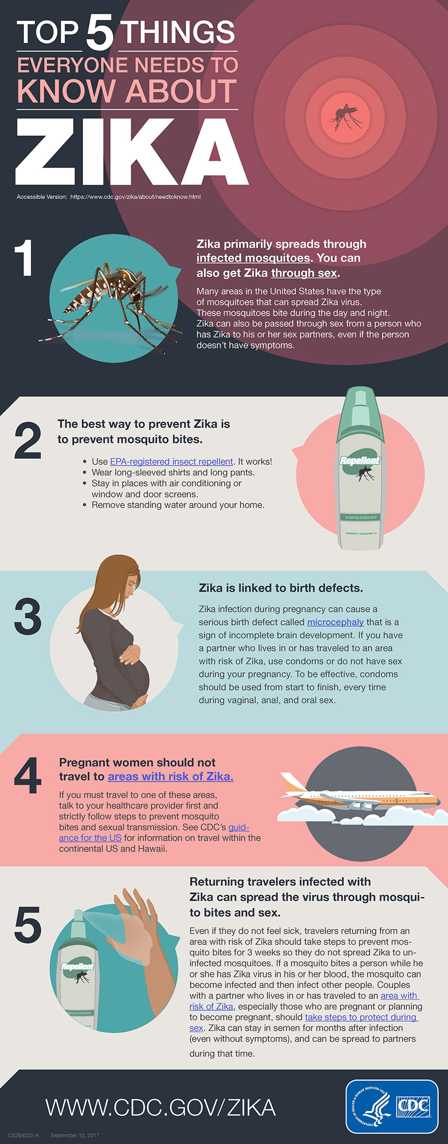 Top 5 Things Everyone Needs to Know About Zika