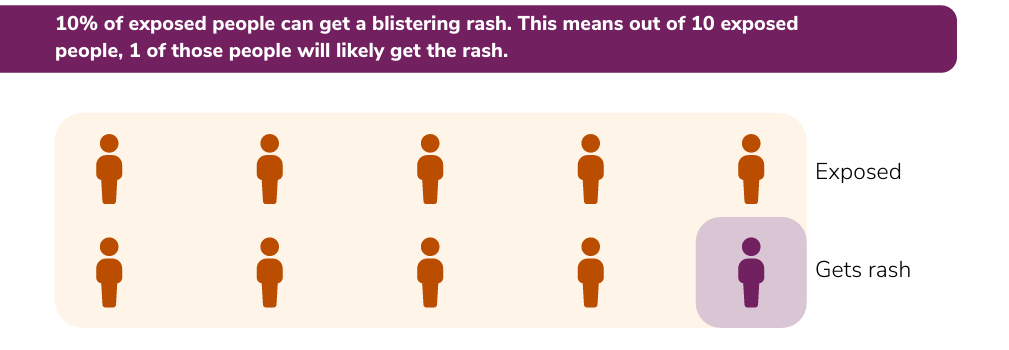 Infographic showing 10 orange human figures (two rows of five figures) labeled &ldquo;Exposed,&rdquo; with one red figure highlighted and labeled &ldquo;Gets rash,&rdquo; illustrating that 1 in 10 people may develop a rash after exposure.