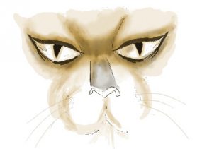 Illustration of wild cat face and eyes