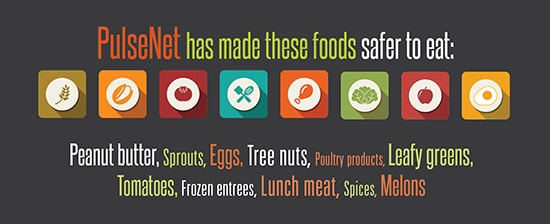 PulseNet has made these foods safer to eat: Peanut butter, sprouts, eggs, tree nuts, pultry products, leafy greens, tomatoes, frozen entrees, lunch meta, spices, melons