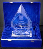 Innovations in Goverment Award, 2002