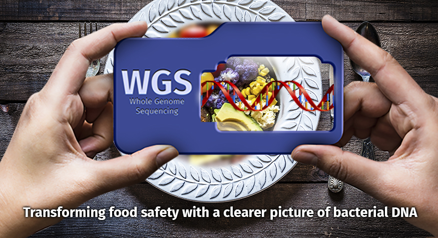 Whole genome sequencing: transforming food safety with a clearer picture of bacterial DNA