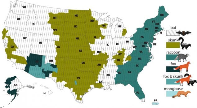 Common carriers of rabies by location in the US