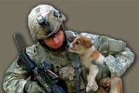 military soldier with puppy