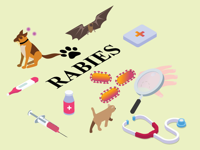 Restored CDC | Rabies | Rabies | CDC