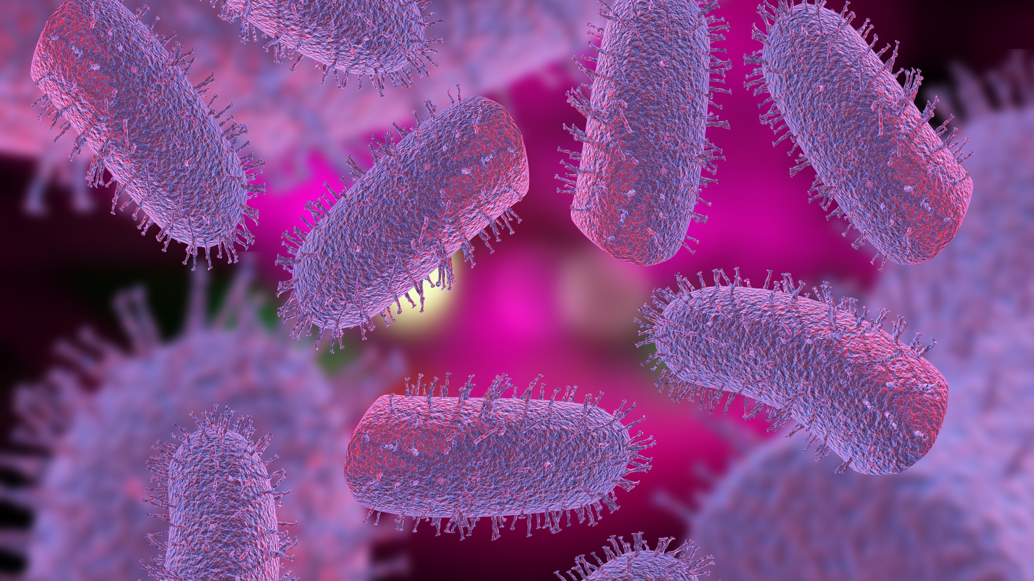 Clinical Overview of Rabies | Rabies | CDC